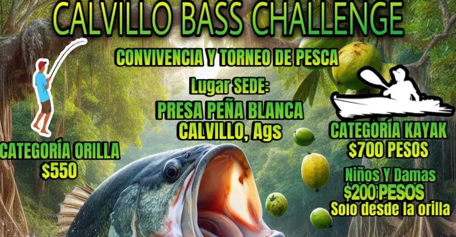 Calvillo